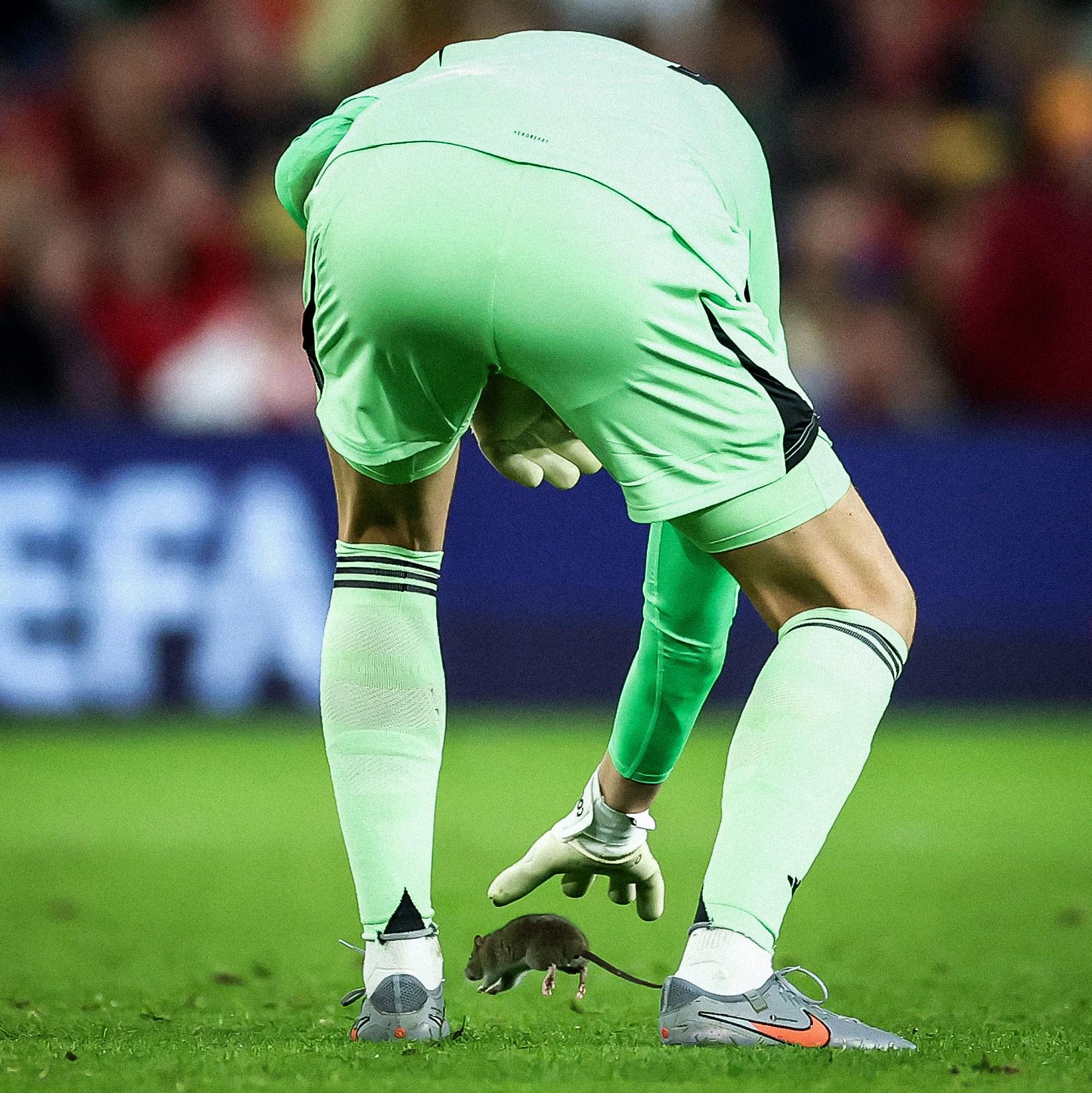 src, zid, sg src, zid, sg